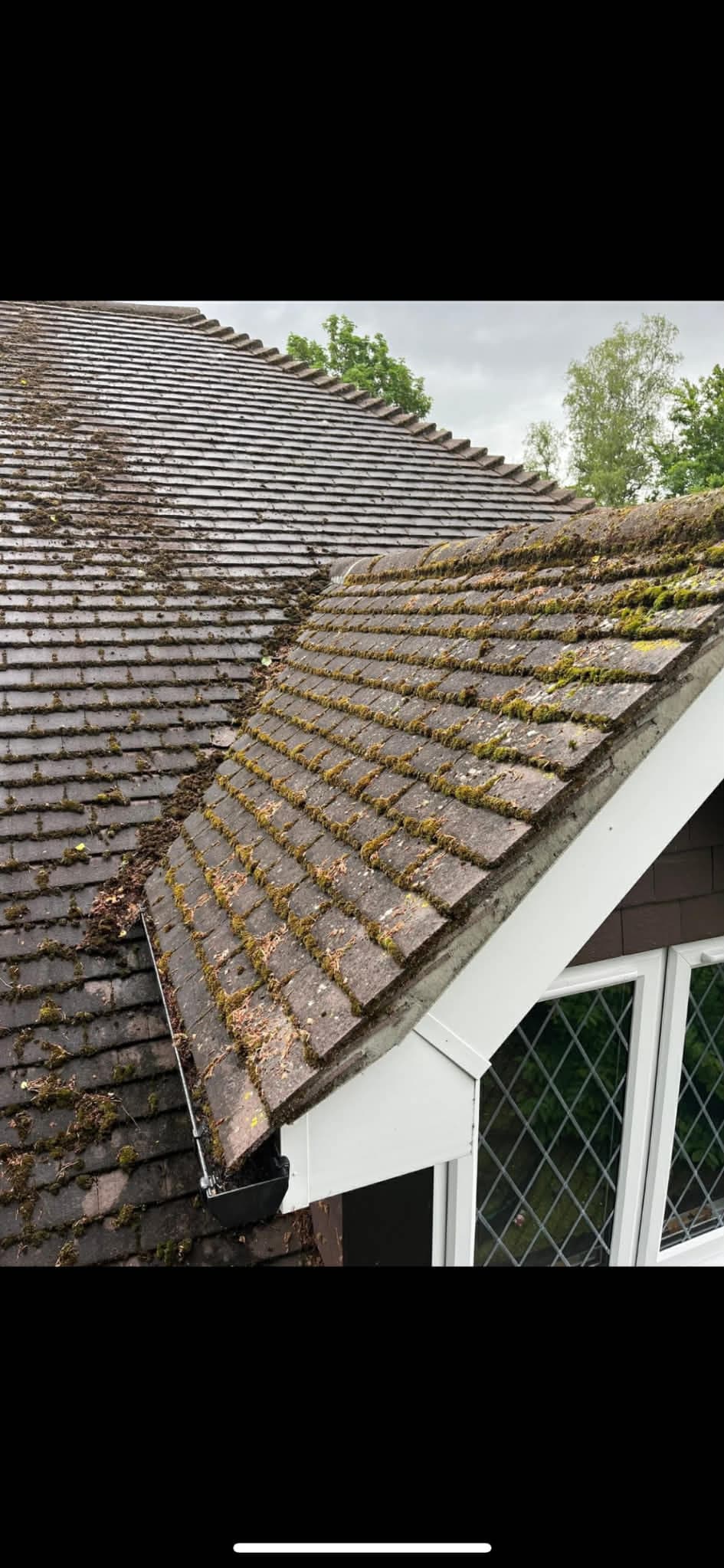 Roof Moss Removal - Before clean