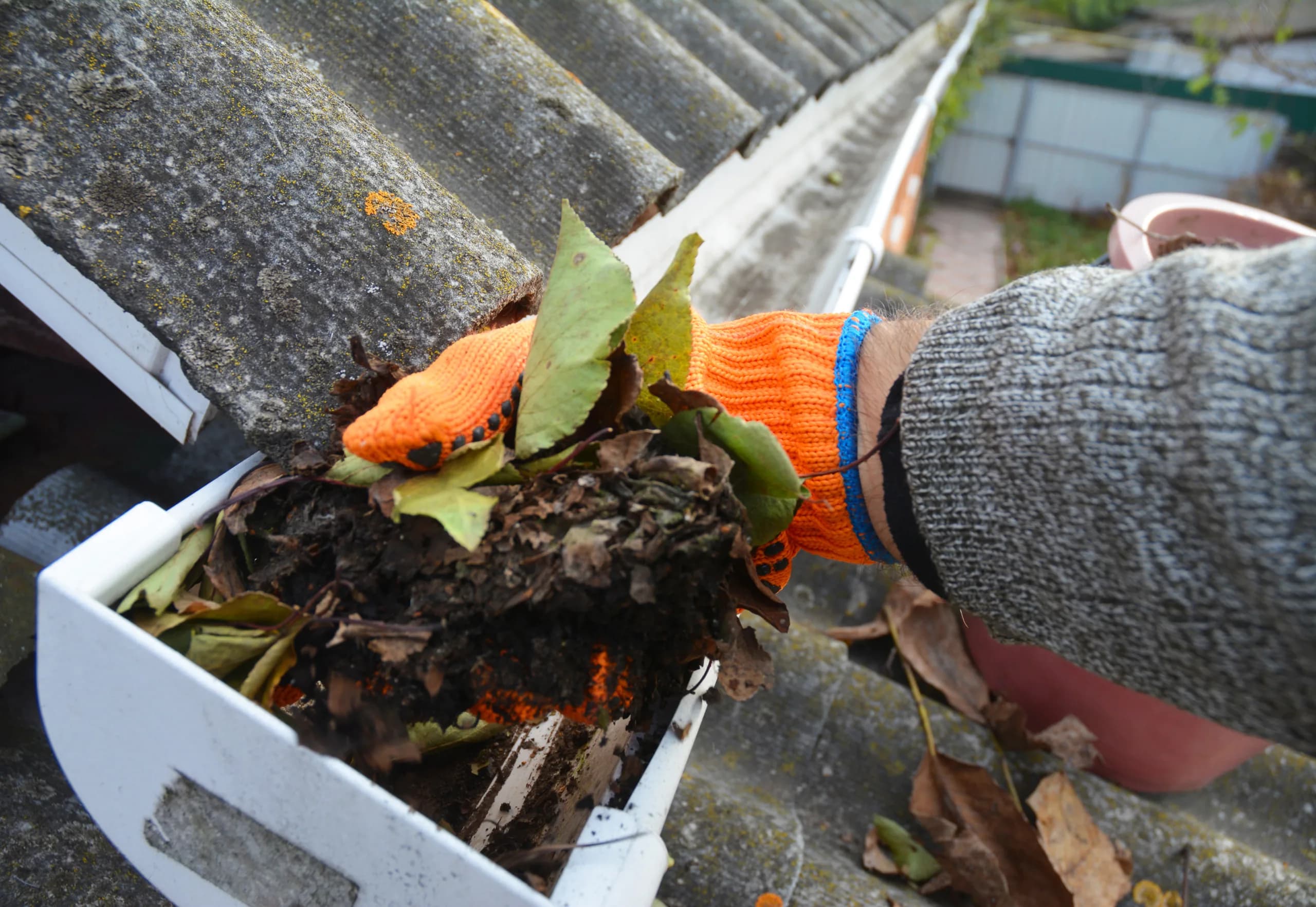 Windows, Gutters & Fascias